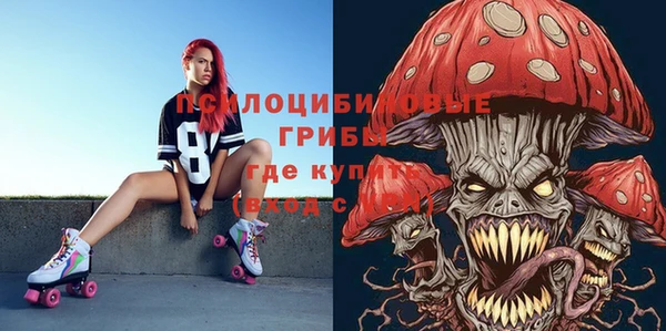 PSILOCYBIN Горнозаводск