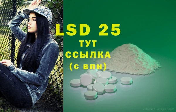 прущие грибы Лихославль