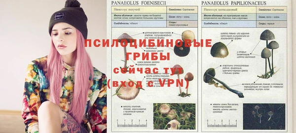 прущий лед Гусиноозёрск