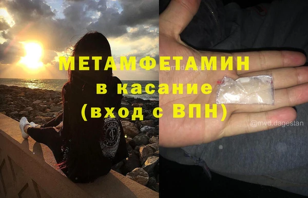 прущие грибы Лихославль