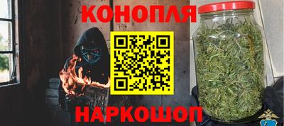 ГАЛЛЮЦИНОГЕННЫЕ ГРИБЫ Кандалакша