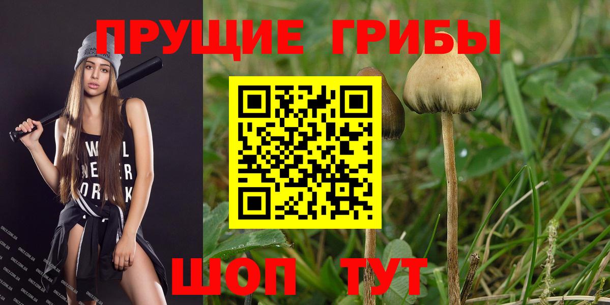 Псилоцибиновые грибы GOLDEN TEACHER  Псилоцибиновые грибы Magic Shrooms  Наро-Фоминск 