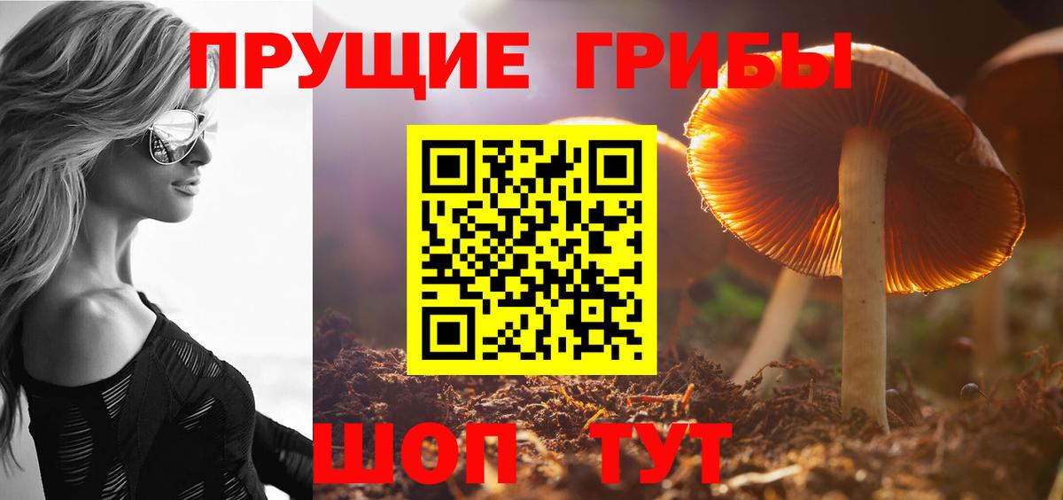 Псилоцибиновые грибы Cubensis Наро-Фоминск